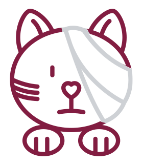 icon cat injury AK