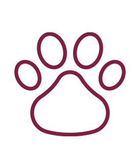 icon pet ins AK